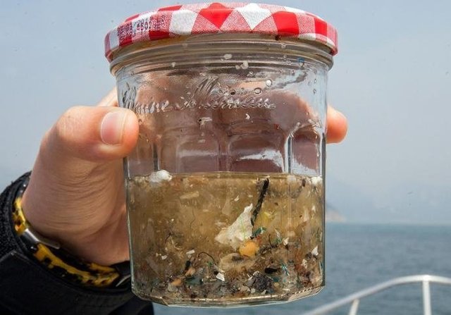 如果知道海洋中的塑料垃圾會進(jìn)入人類肚子，你還會丟嗎？