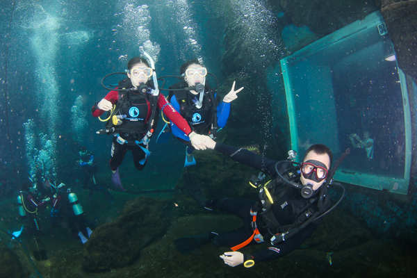 12/12正式上線(xiàn)！PADI 最新課程【休閑潛水員Resort Diver】 丨 一天拿證，潛遍全球