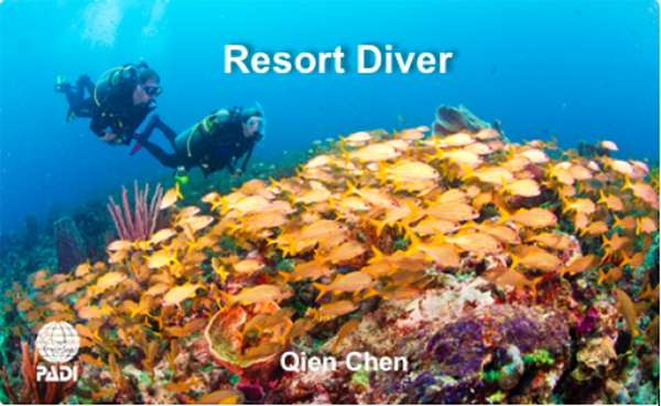 12/12正式上線(xiàn)！PADI 最新課程【休閑潛水員Resort Diver】 丨 一天拿證，潛遍全球