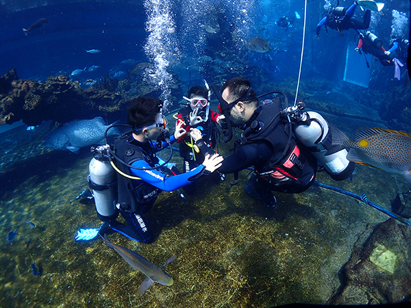 12/12正式上線(xiàn)！PADI 最新課程【休閑潛水員Resort Diver】 丨 一天拿證，潛遍全球