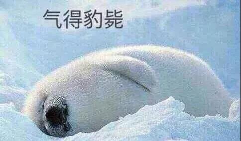 原來你是這樣的潛水員妹子！